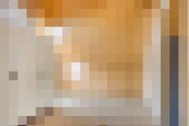 de Krijntjes 35 Rucphen thumbnail 28