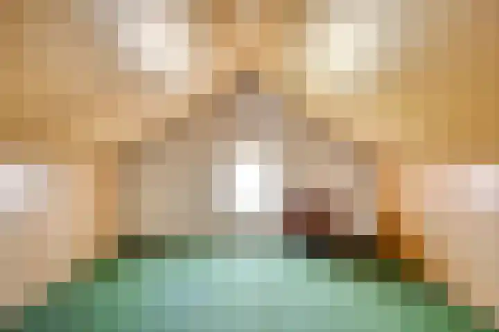 de Krijntjes 35 Rucphen thumbnail 29
