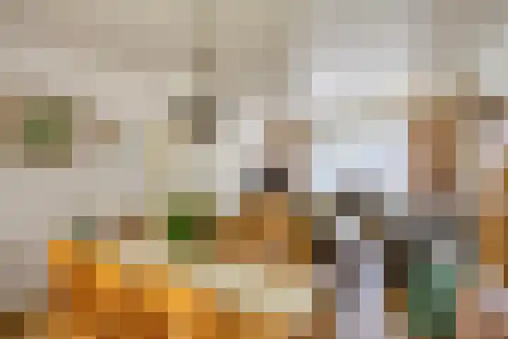 de Krijntjes 35 Rucphen foto 3