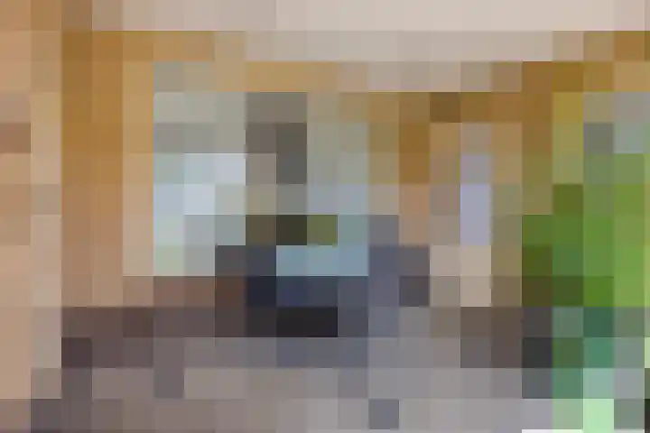 de Krijntjes 35 Rucphen thumbnail 30