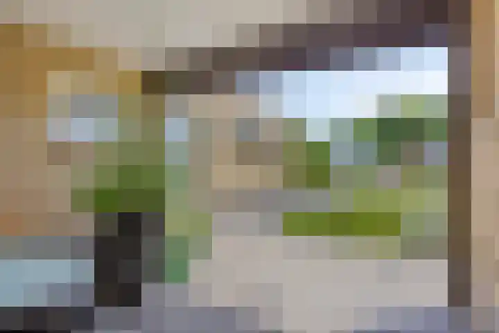 de Krijntjes 35 Rucphen thumbnail 31