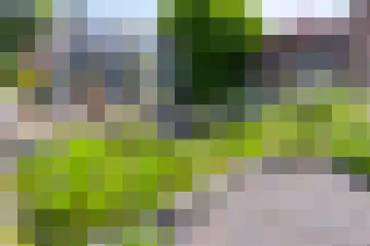 de Krijntjes 35 Rucphen thumbnail 33