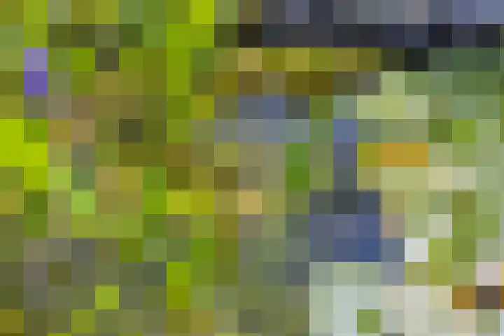 de Krijntjes 35 Rucphen thumbnail 34