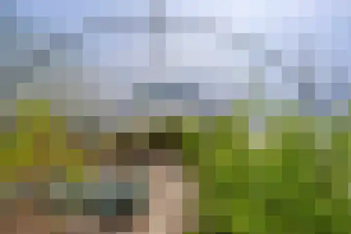 de Krijntjes 35 Rucphen thumbnail 36
