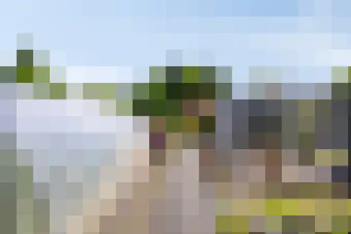 de Krijntjes 35 Rucphen thumbnail 37