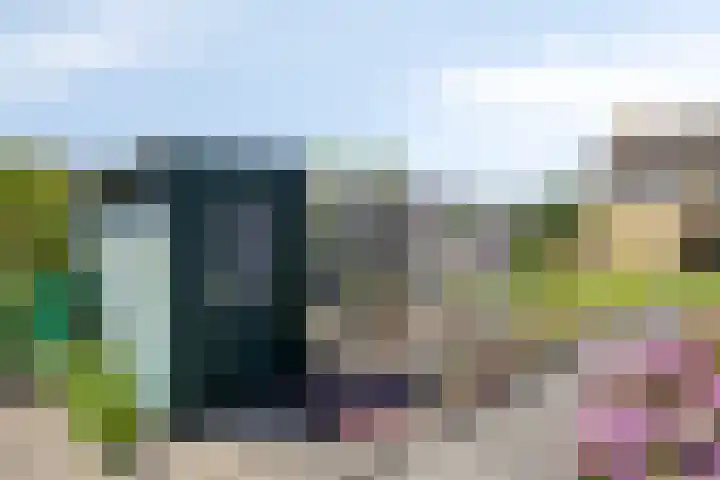 de Krijntjes 35 Rucphen thumbnail 38