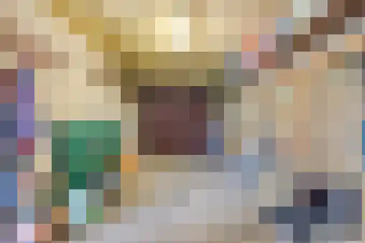 de Krijntjes 35 Rucphen thumbnail 39