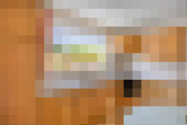 de Krijntjes 35 Rucphen thumbnail 4