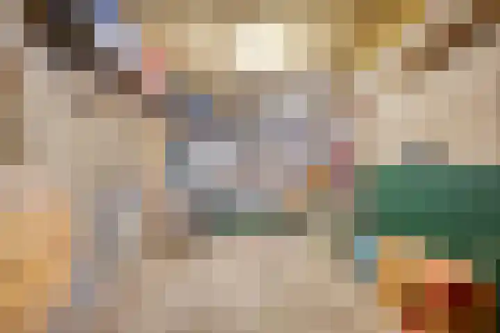 de Krijntjes 35 Rucphen thumbnail 40