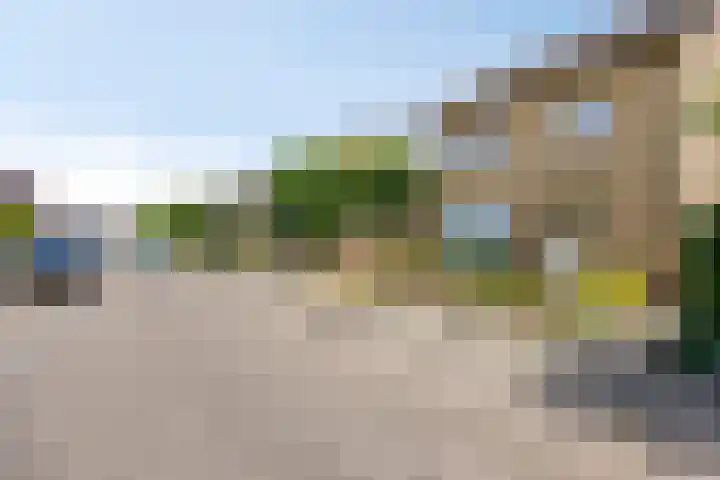de Krijntjes 35 Rucphen thumbnail 44