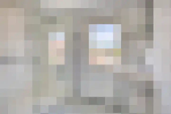 de Krijntjes 35 Rucphen thumbnail 5