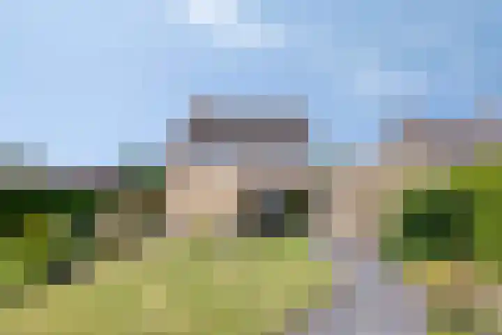 de Krijntjes 35 Rucphen thumbnail 6