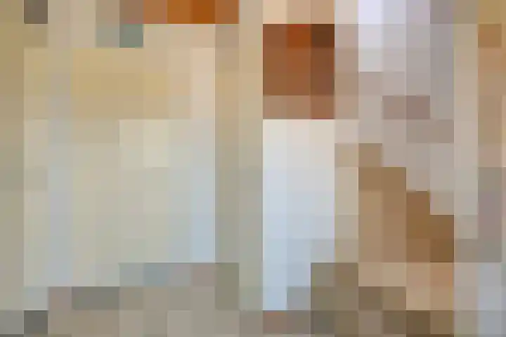 de Krijntjes 35 Rucphen thumbnail 8