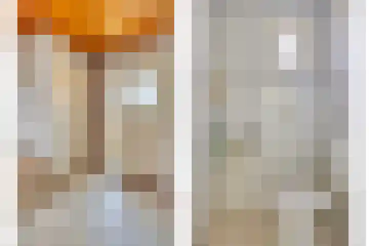 de Krijntjes 35 Rucphen thumbnail 9
