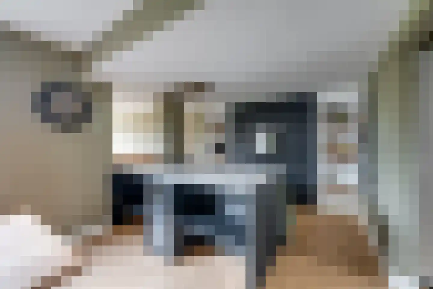 de Krijntjes 8 Rucphen thumbnail 10