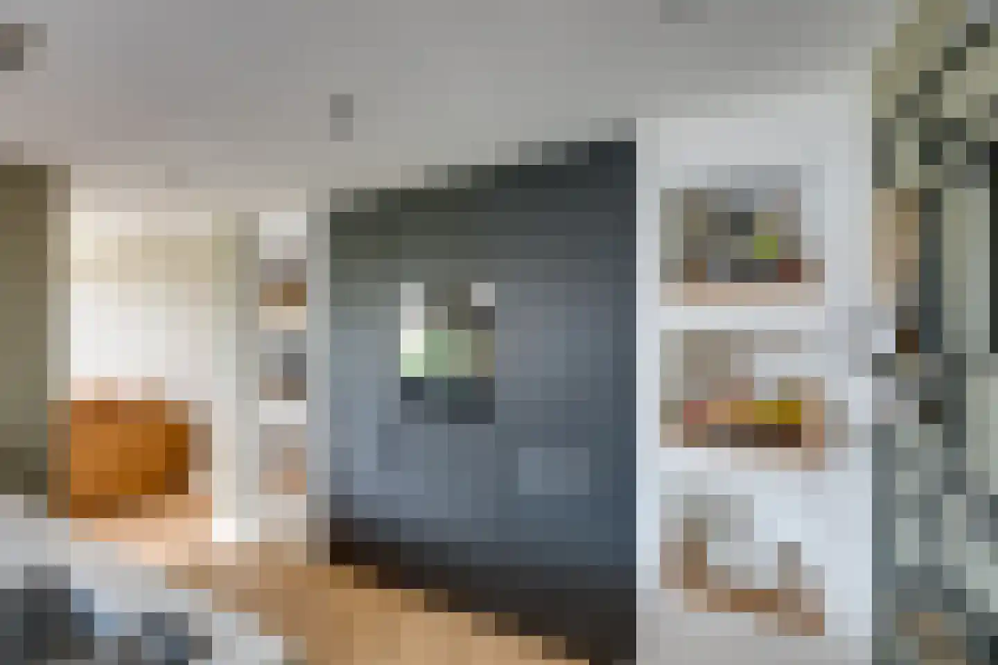 de Krijntjes 8 Rucphen thumbnail 11
