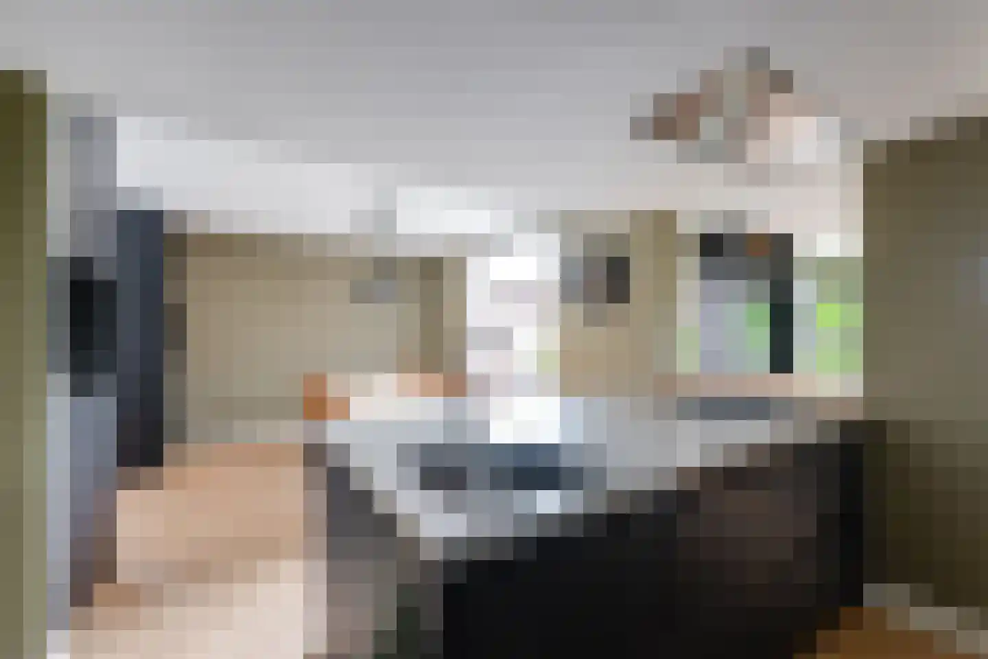 de Krijntjes 8 Rucphen thumbnail 12