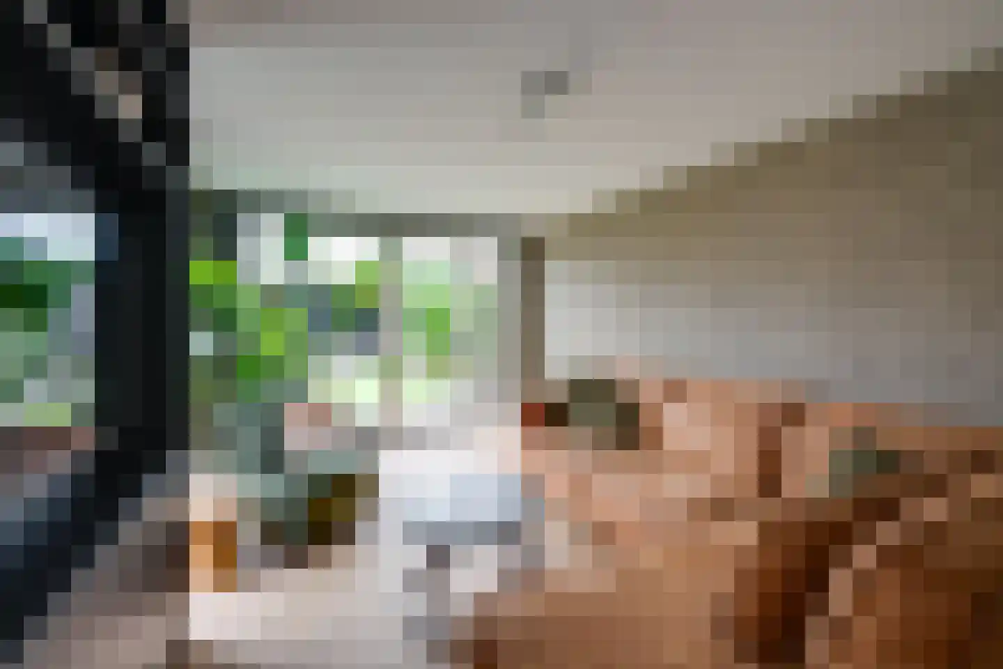 de Krijntjes 8 Rucphen thumbnail 14