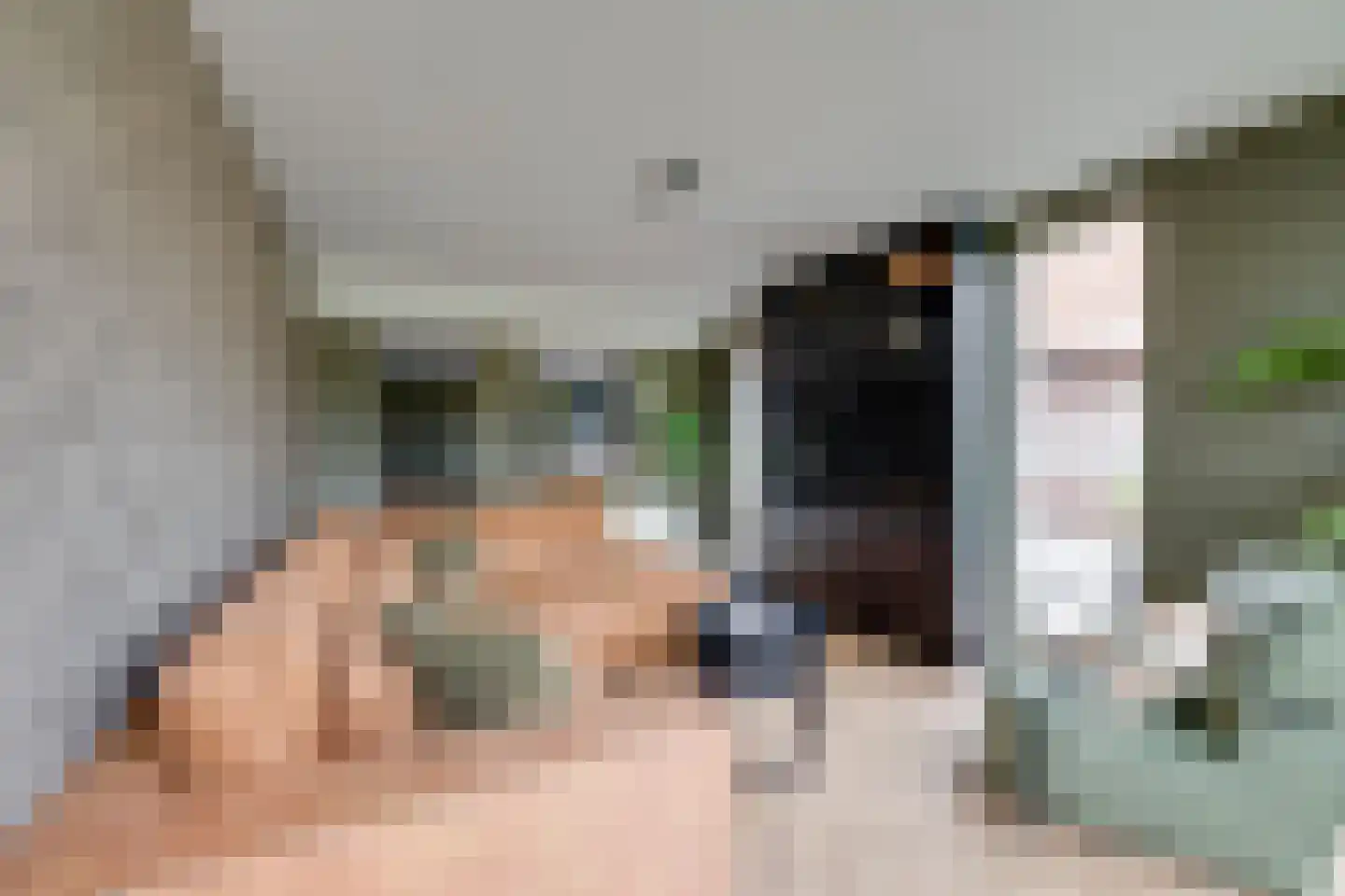 de Krijntjes 8 Rucphen thumbnail 15