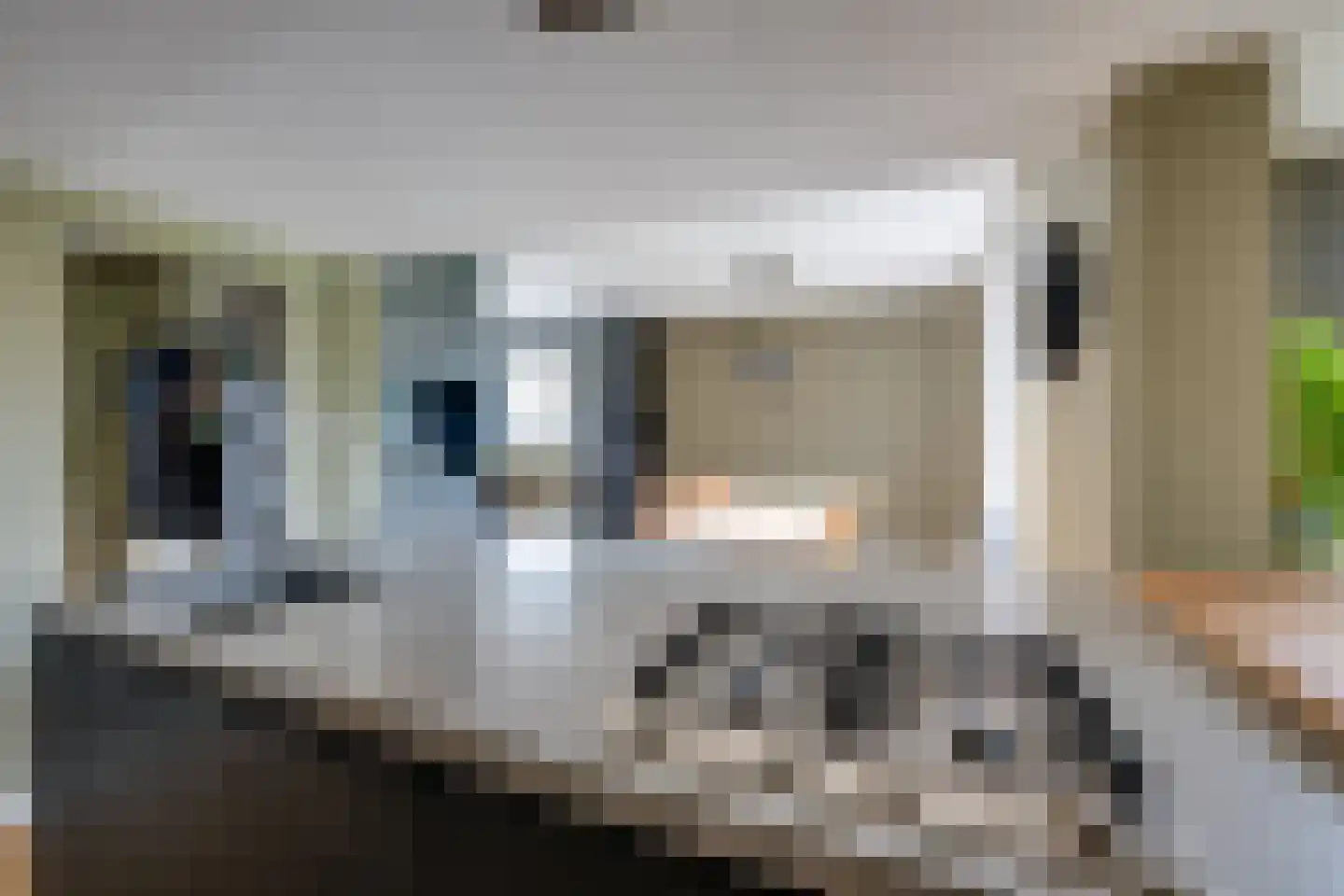 de Krijntjes 8 Rucphen thumbnail 17