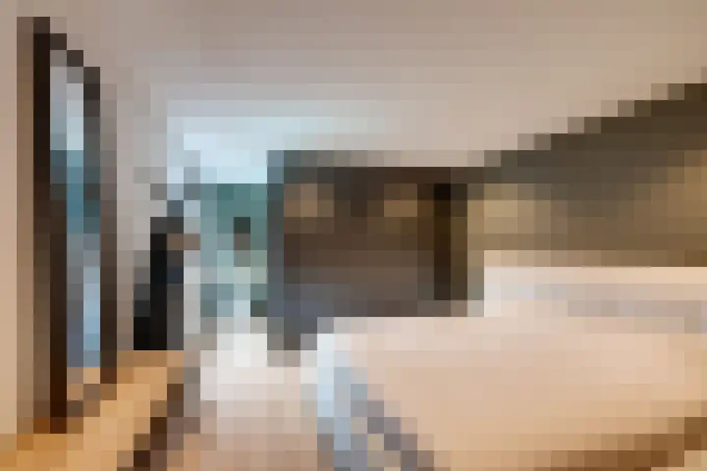 de Krijntjes 8 Rucphen thumbnail 19