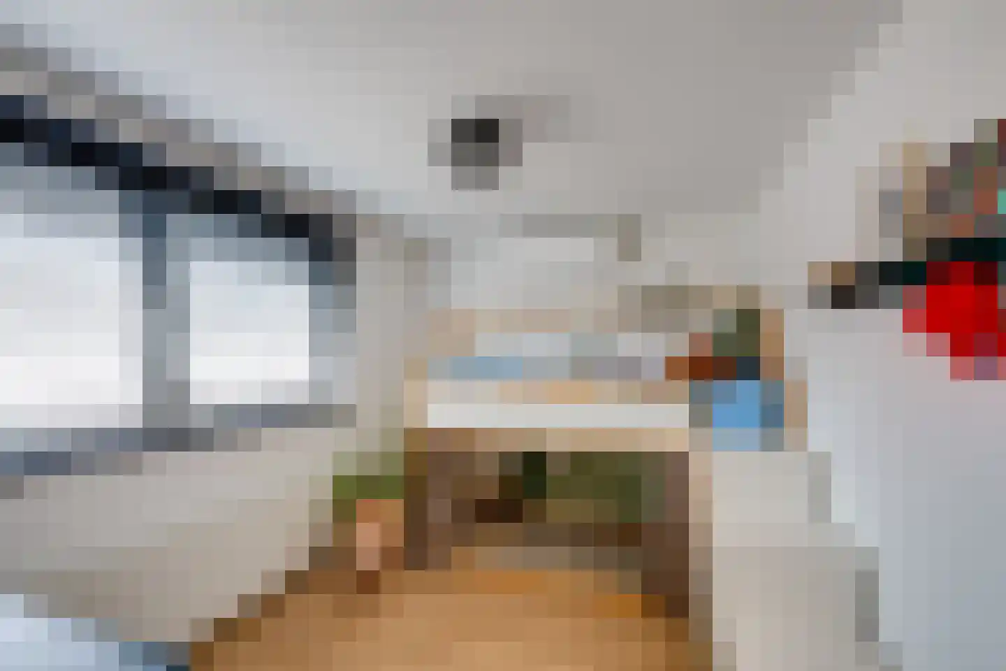 de Krijntjes 8 Rucphen thumbnail 23