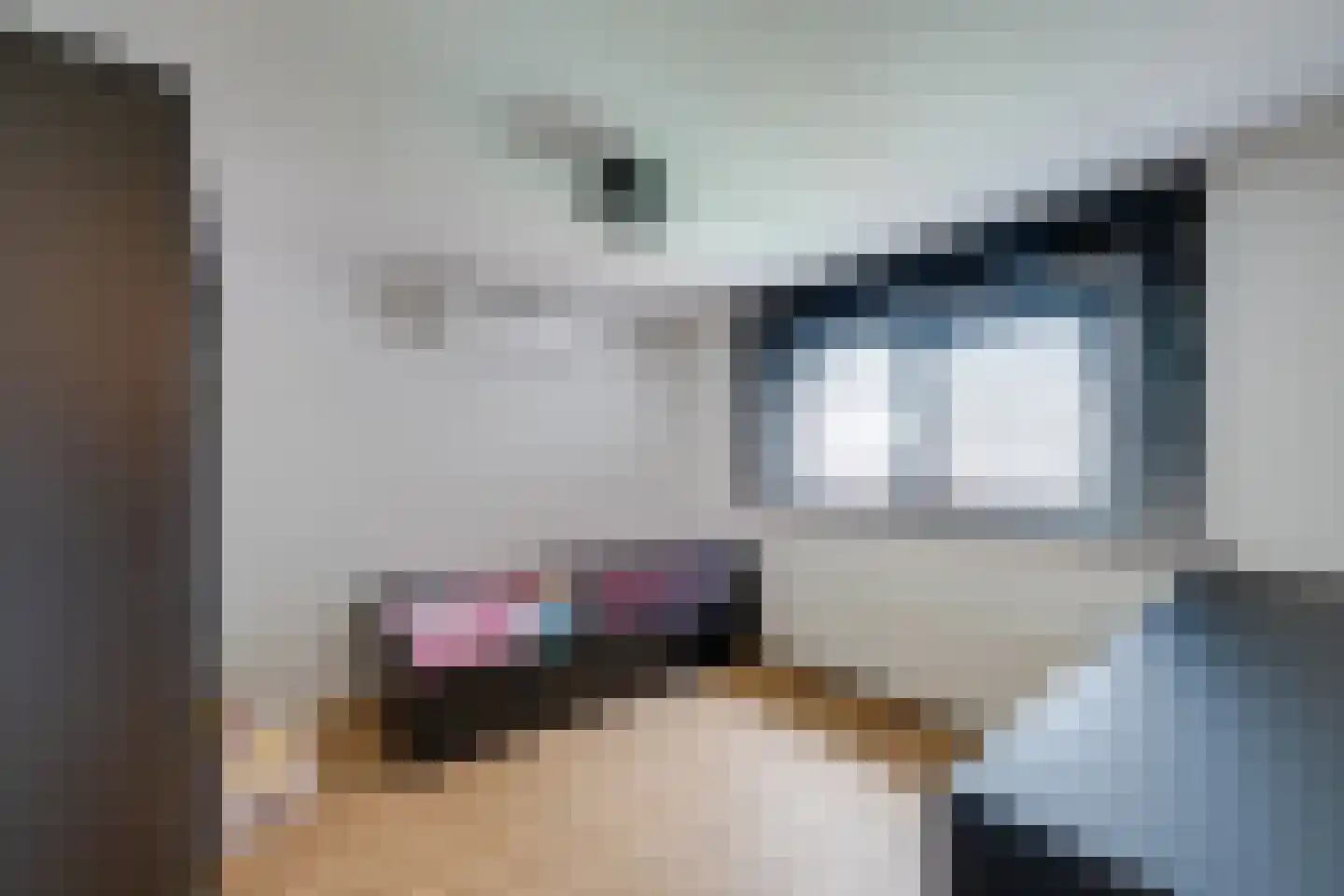 de Krijntjes 8 Rucphen thumbnail 25