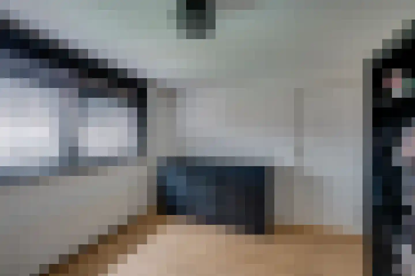 de Krijntjes 8 Rucphen thumbnail 26