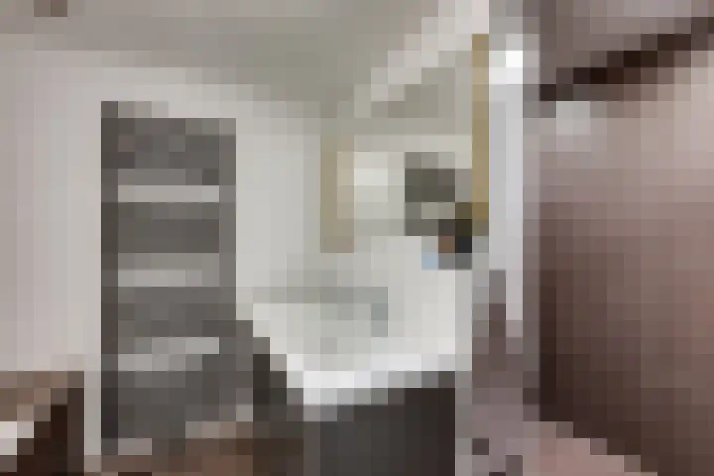 de Krijntjes 8 Rucphen thumbnail 29