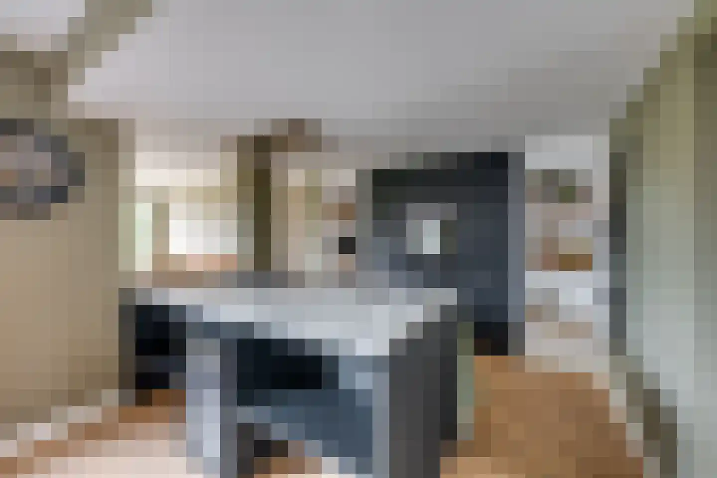 de Krijntjes 8 Rucphen foto 3