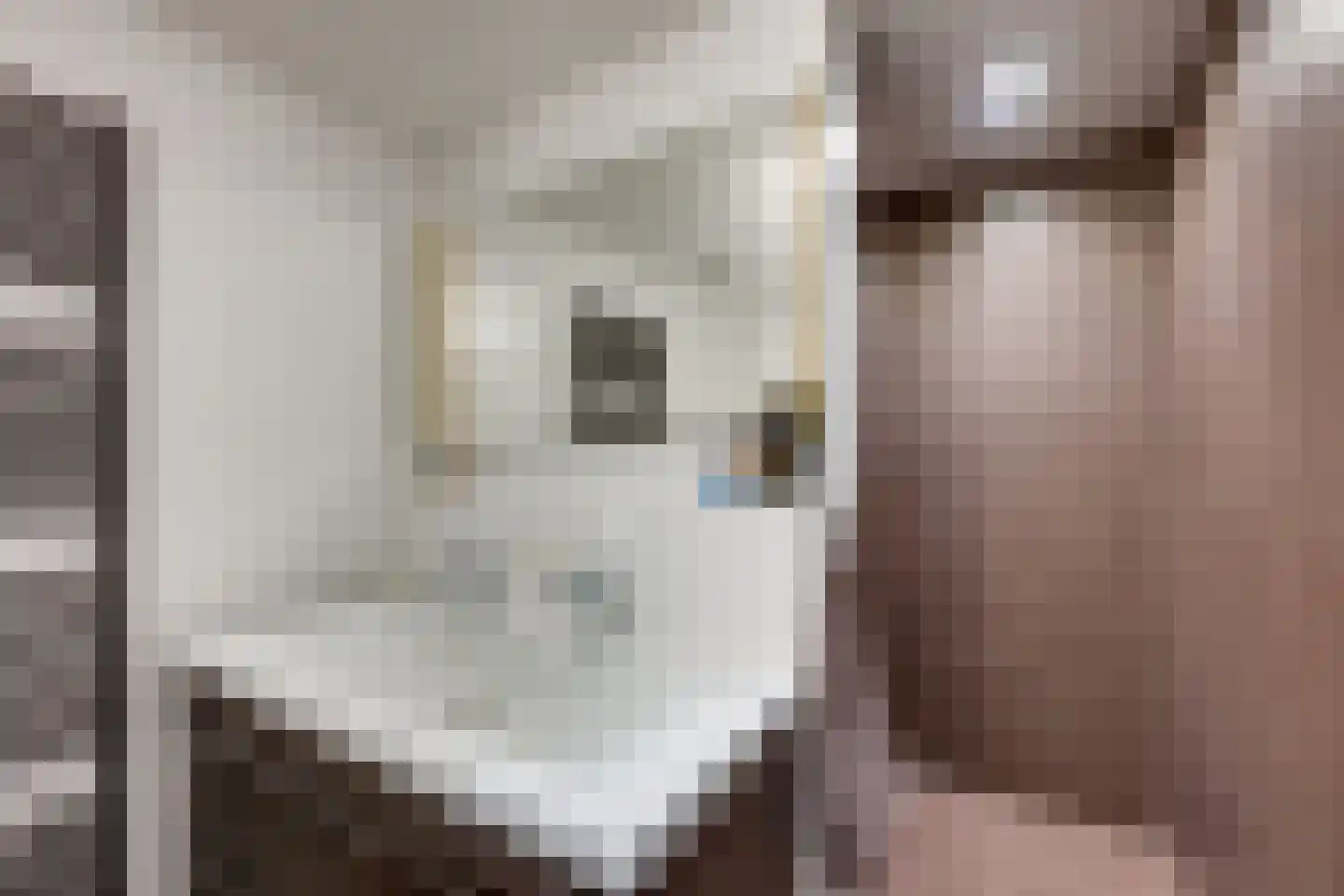 de Krijntjes 8 Rucphen thumbnail 32