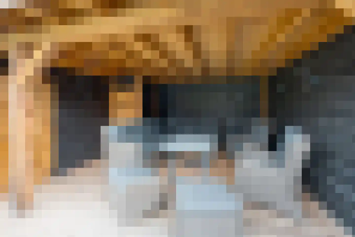 de Krijntjes 8 Rucphen thumbnail 34