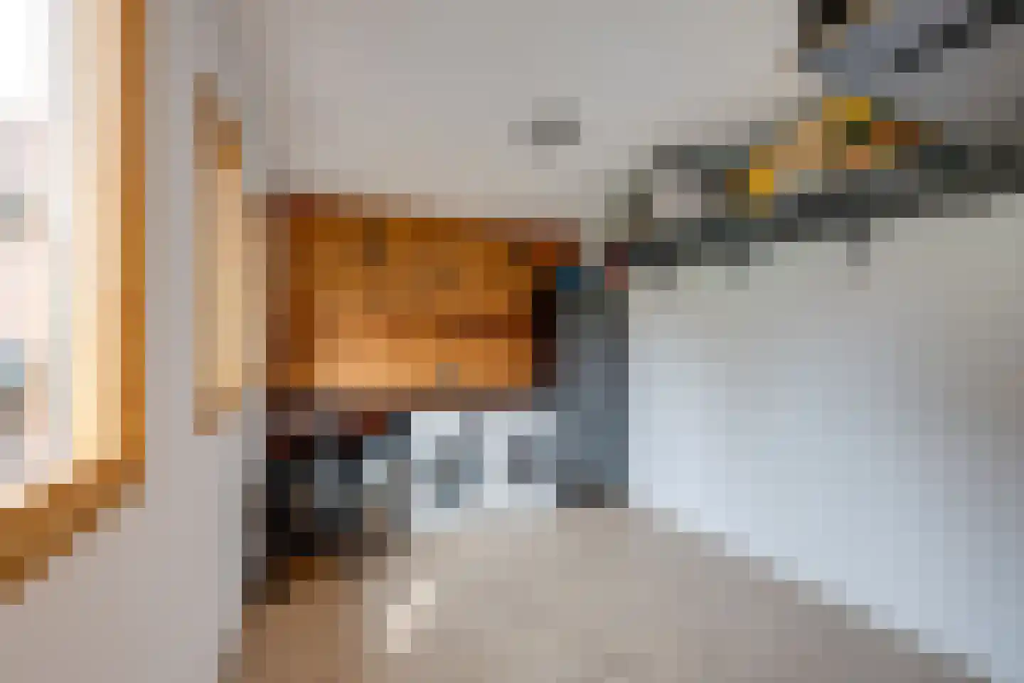 de Krijntjes 8 Rucphen thumbnail 35
