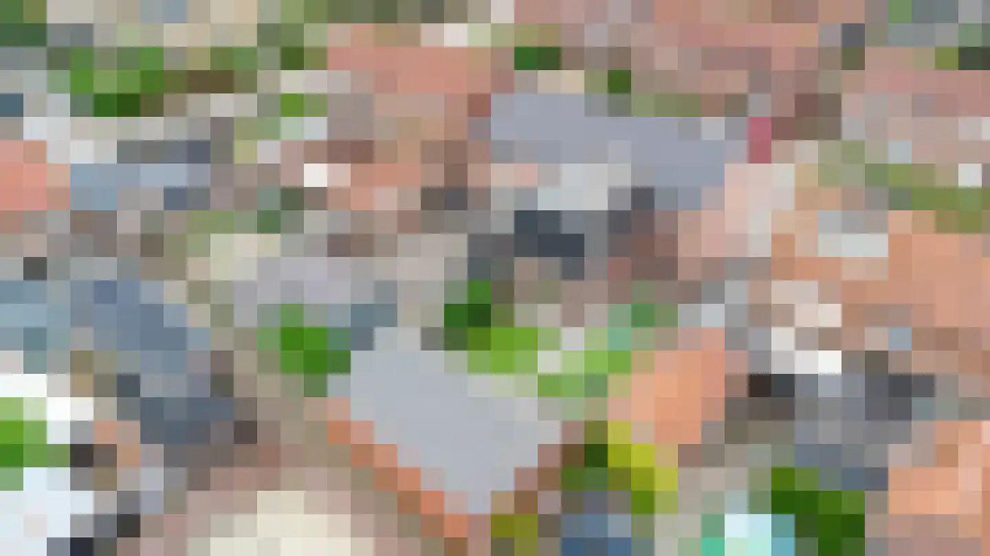 de Krijntjes 8 Rucphen thumbnail 40