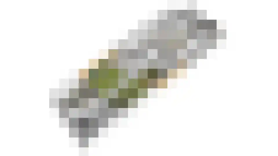 de Krijntjes 8 Rucphen thumbnail 54
