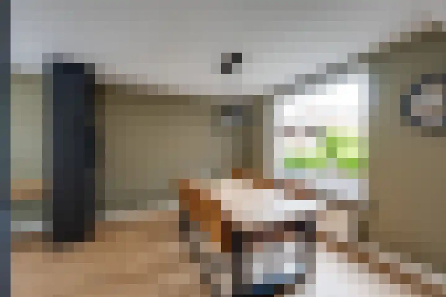 de Krijntjes 8 Rucphen thumbnail 6