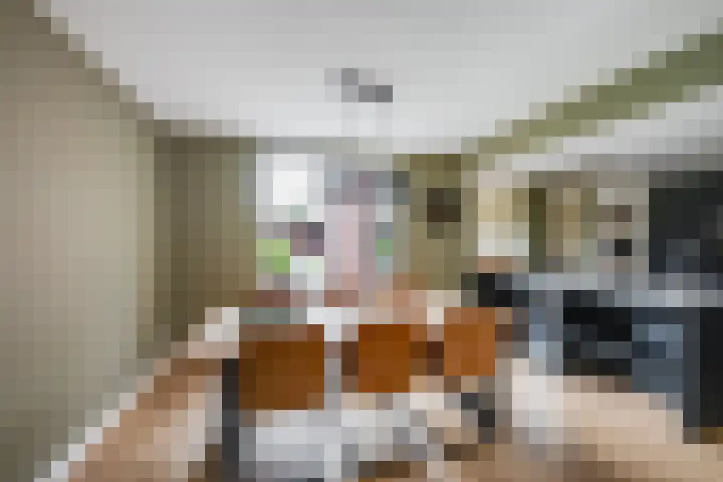 de Krijntjes 8 Rucphen thumbnail 9