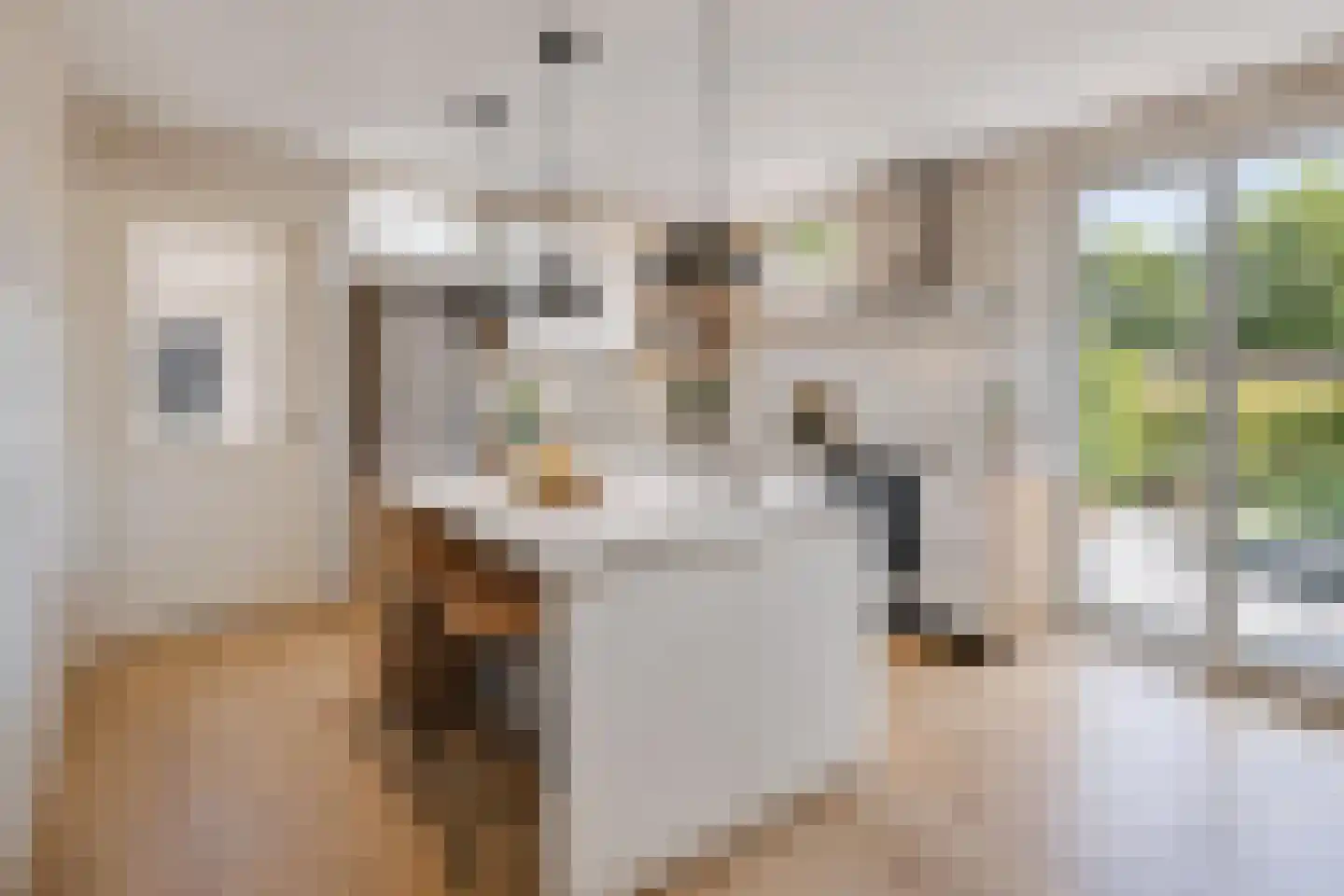 De Krijt 1 Egmond-Binnen thumbnail 19
