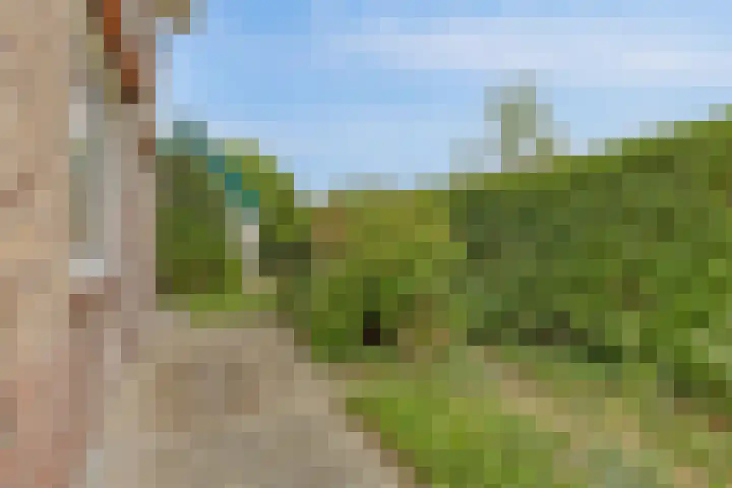 De Krijt 1 Egmond-Binnen thumbnail 39