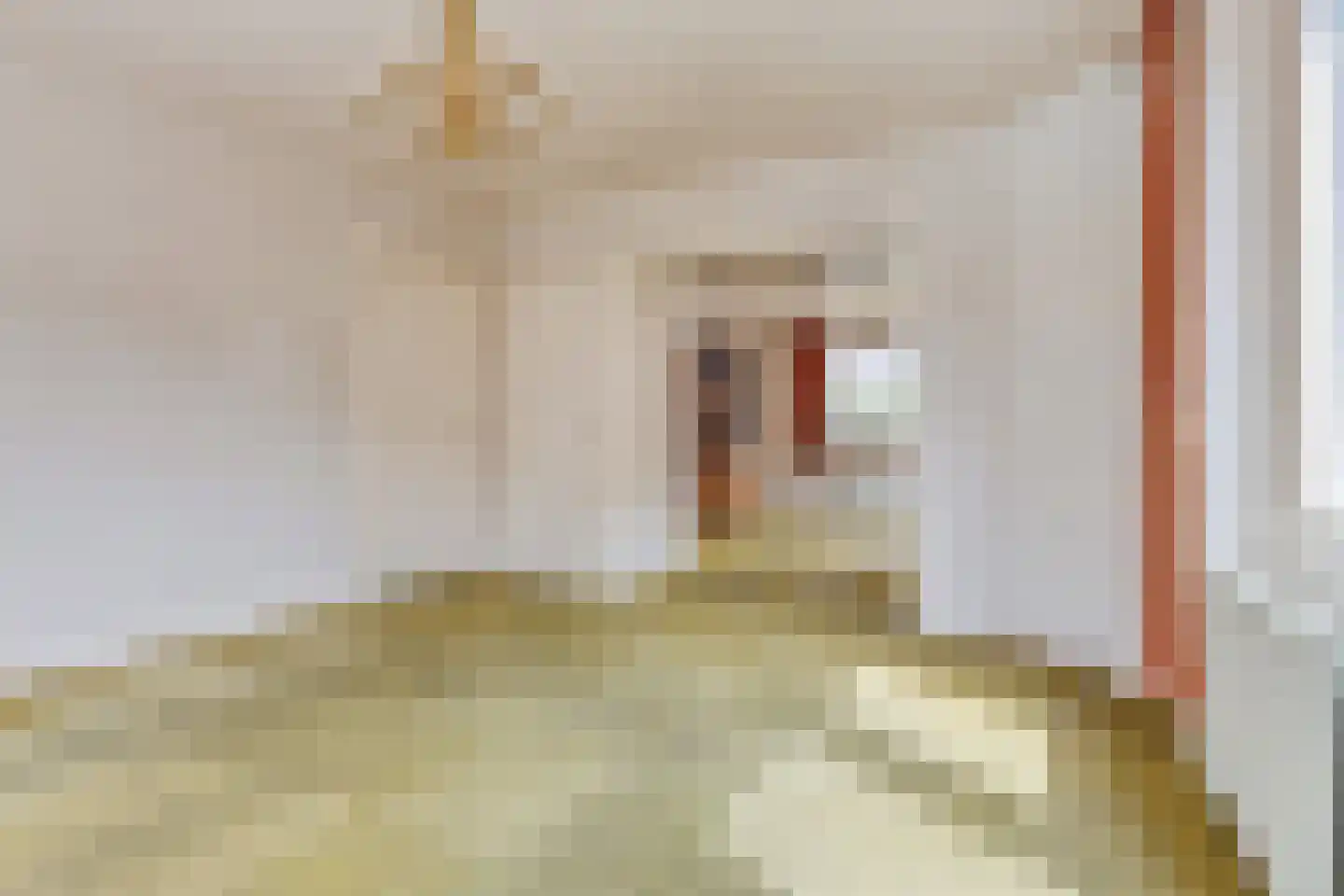 De Krijt 1 Egmond-Binnen thumbnail 5