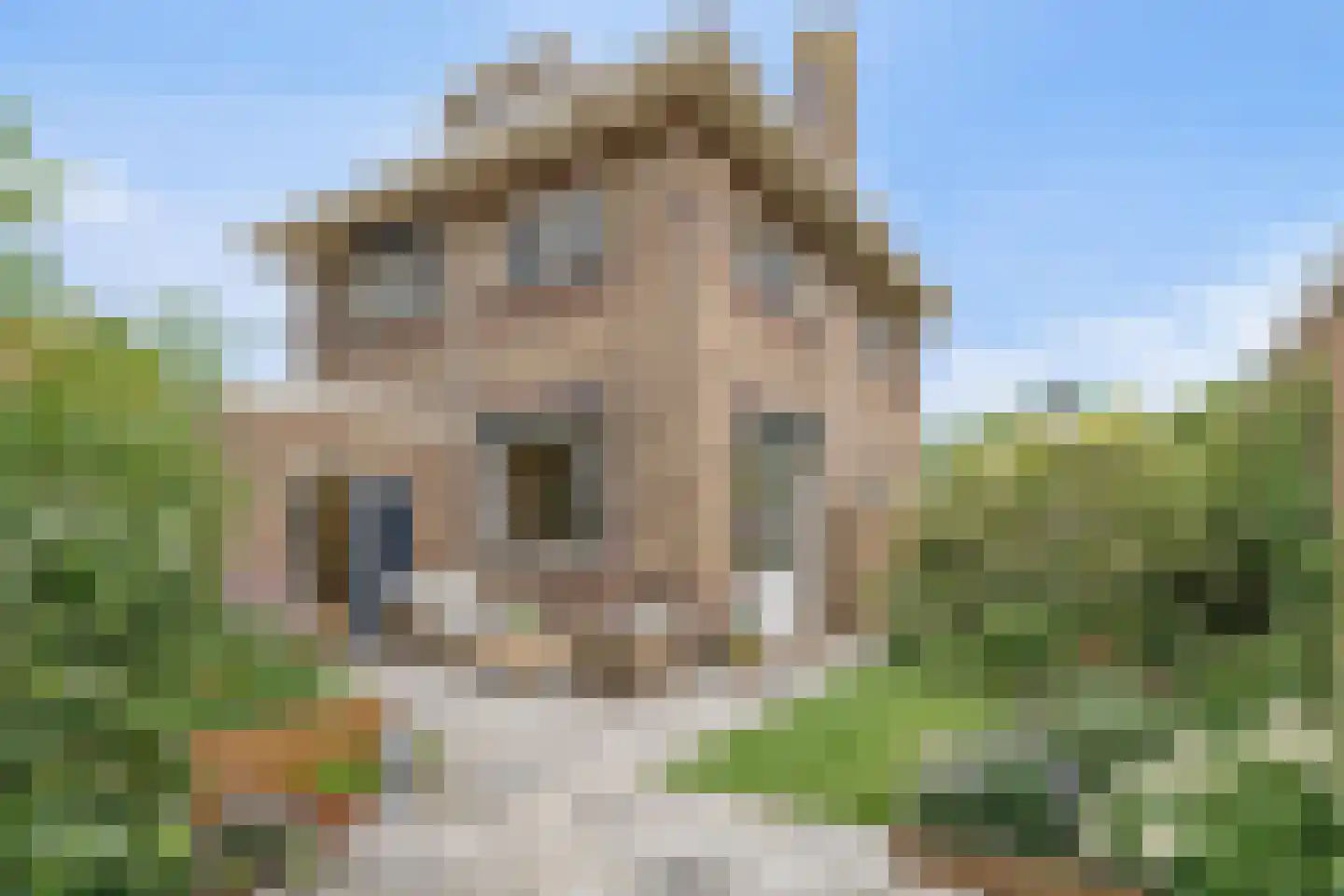 De Krijt 1 Egmond-Binnen thumbnail 7