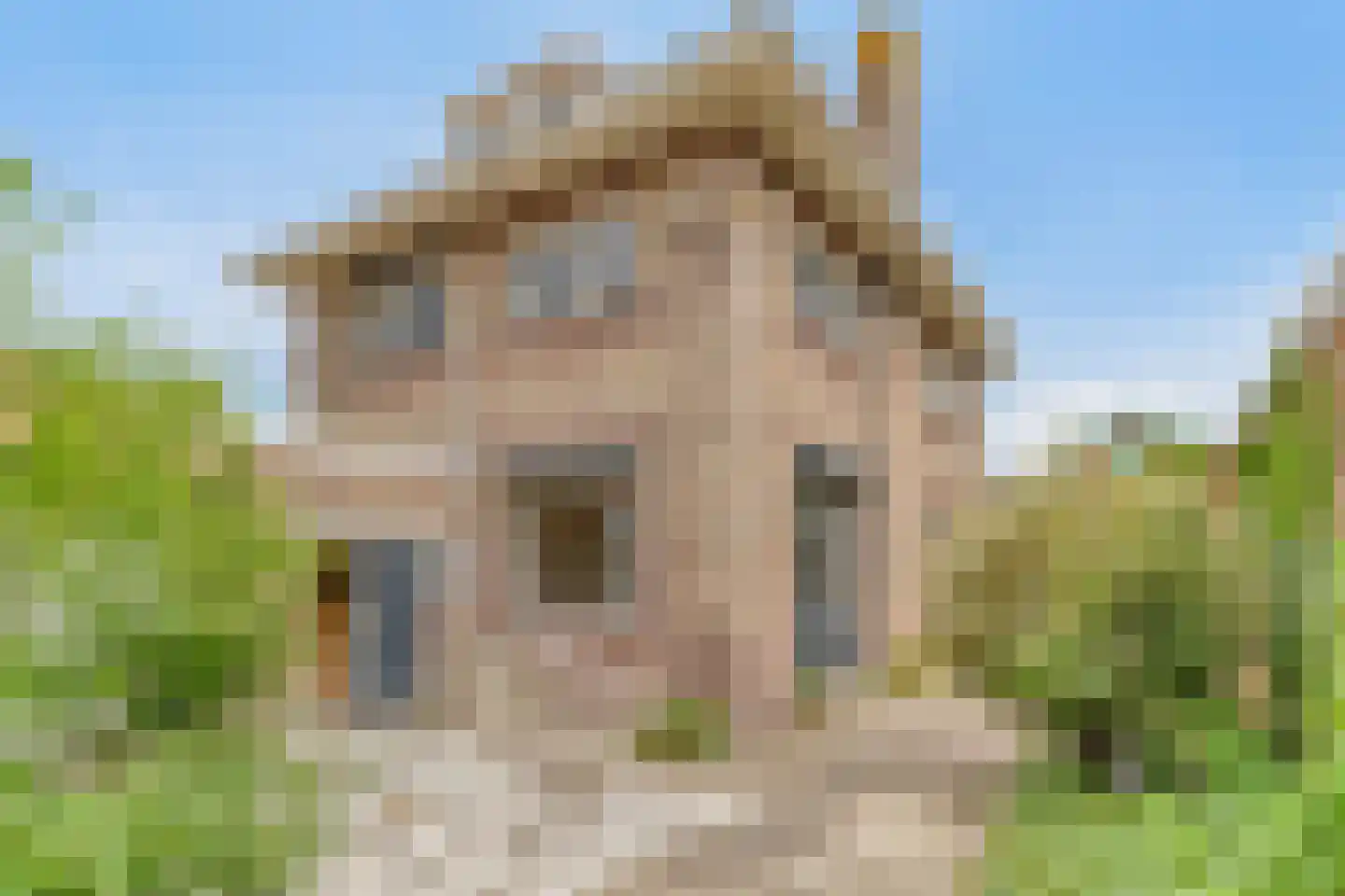 De Krijt 1 Egmond-Binnen thumbnail 8