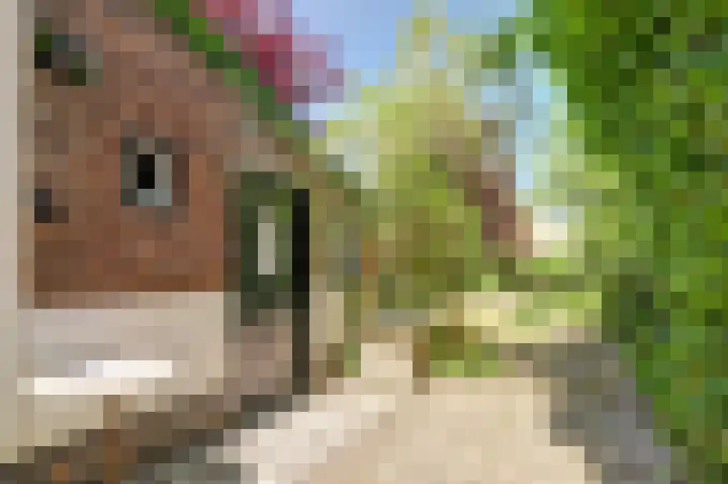 De Krijt 5 Egmond-Binnen thumbnail 27
