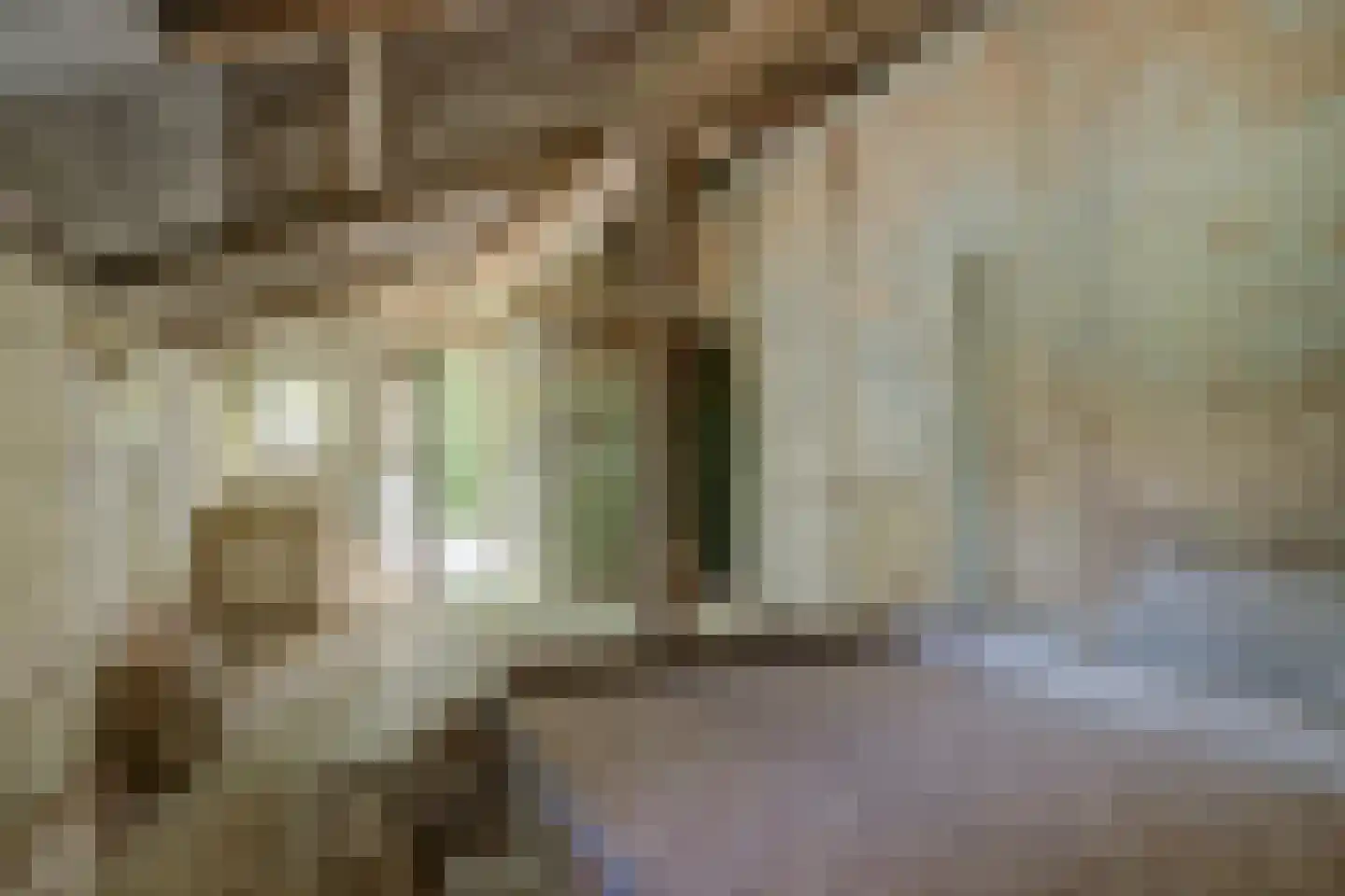 De Krijt 5 Egmond-Binnen thumbnail 30