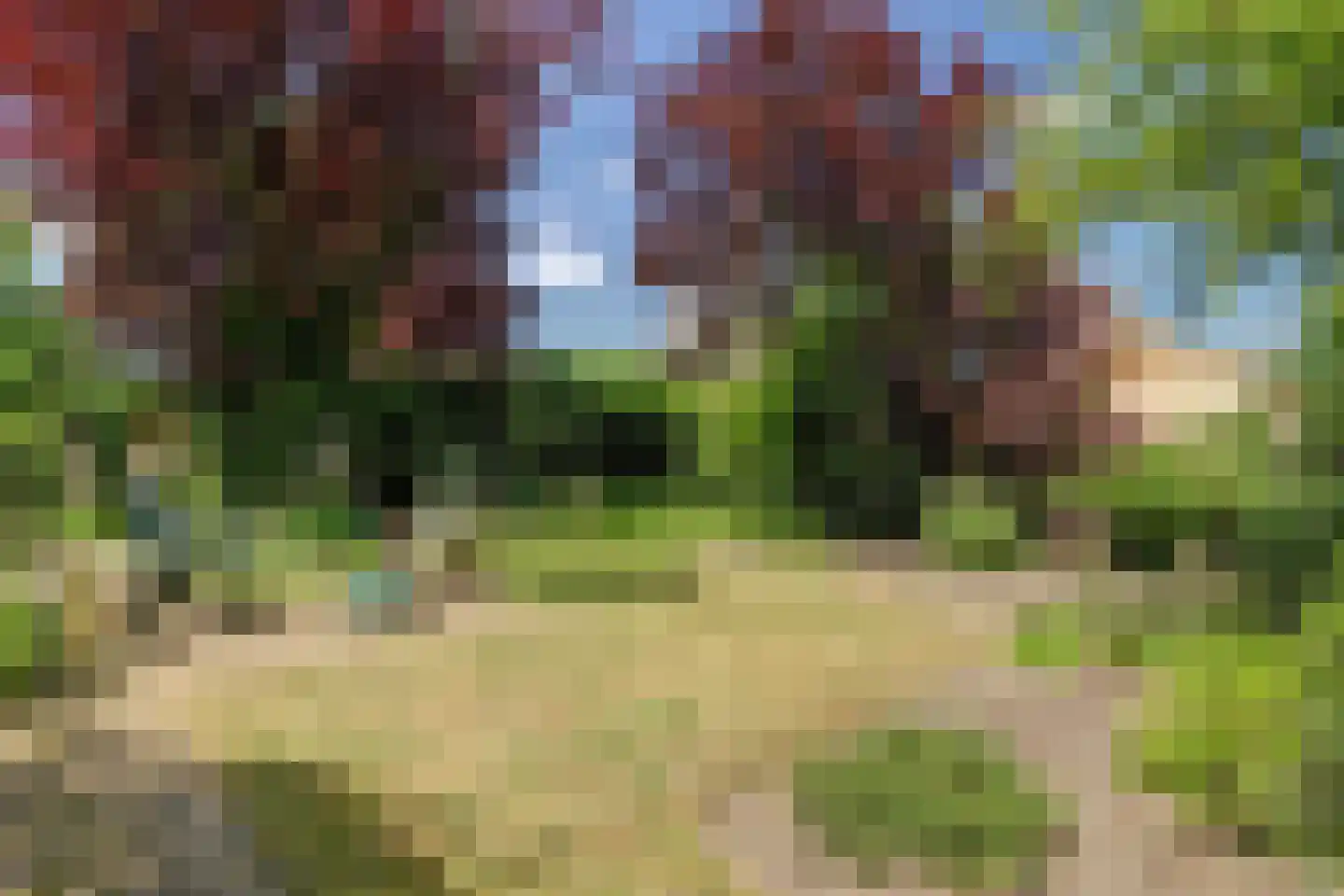 De Krijt 5 Egmond-Binnen thumbnail 31