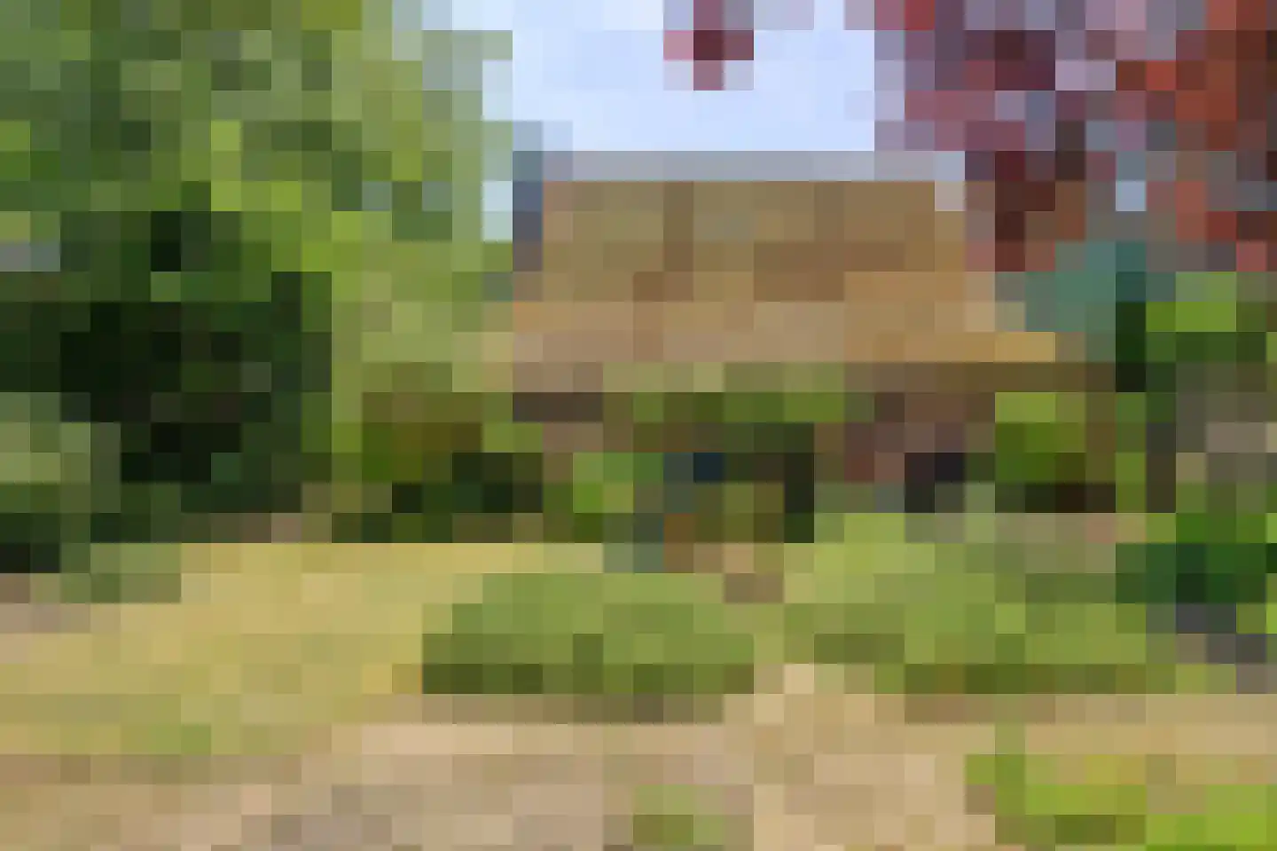 De Krijt 5 Egmond-Binnen thumbnail 33