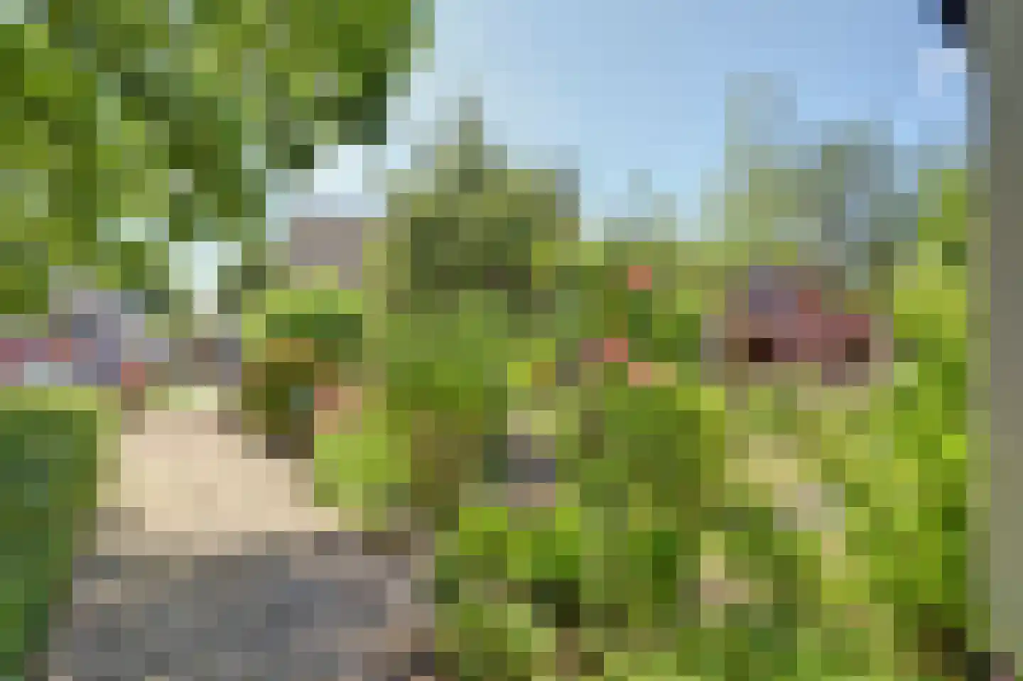De Krijt 5 Egmond-Binnen thumbnail 35