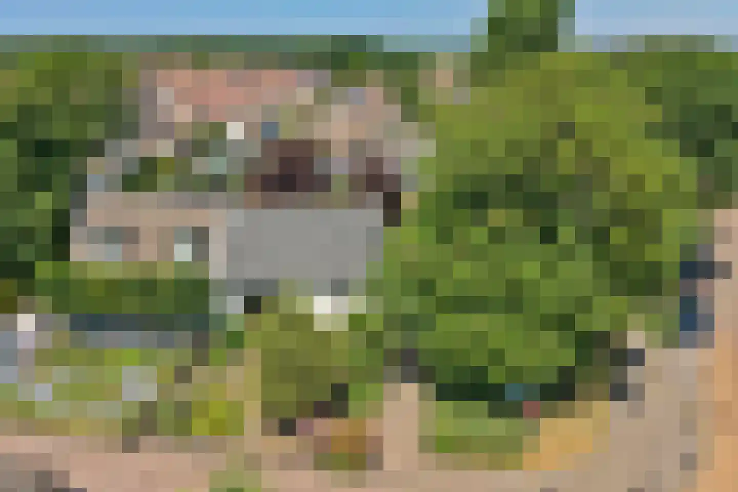 De Krijt 5 Egmond-Binnen thumbnail 38