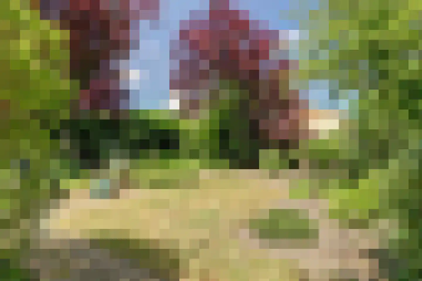 De Krijt 5 Egmond-Binnen thumbnail 4