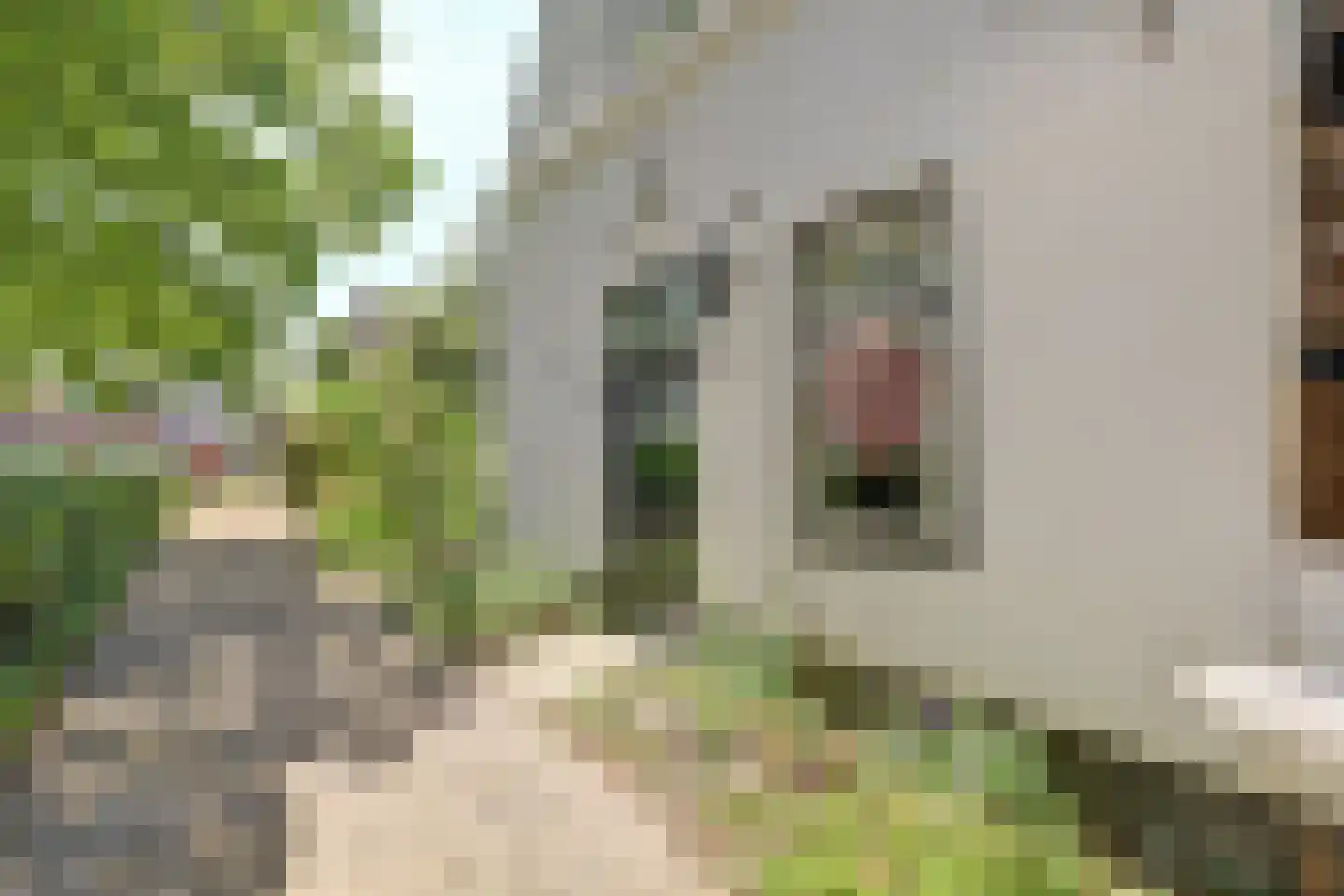 De Krijt 5 Egmond-Binnen thumbnail 9